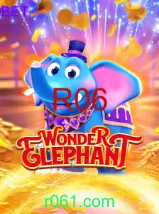WonderElephant